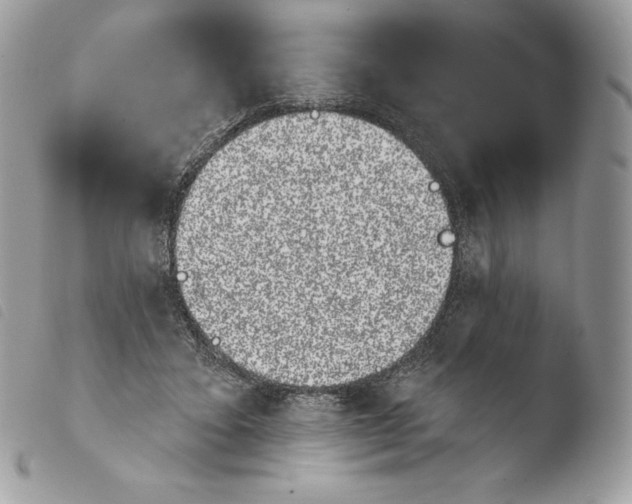 X0000103910403200810171710