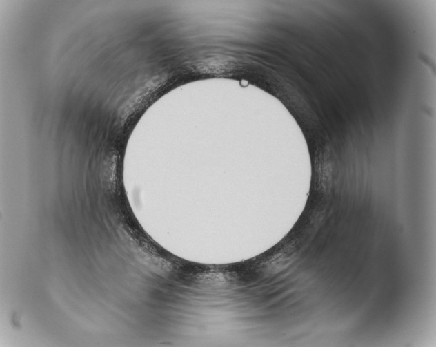 X0000103910404200810171710