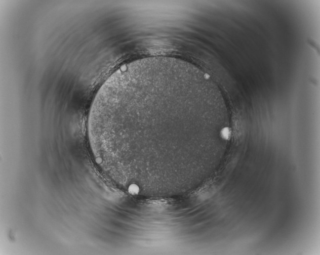 X0000103910405200810171710
