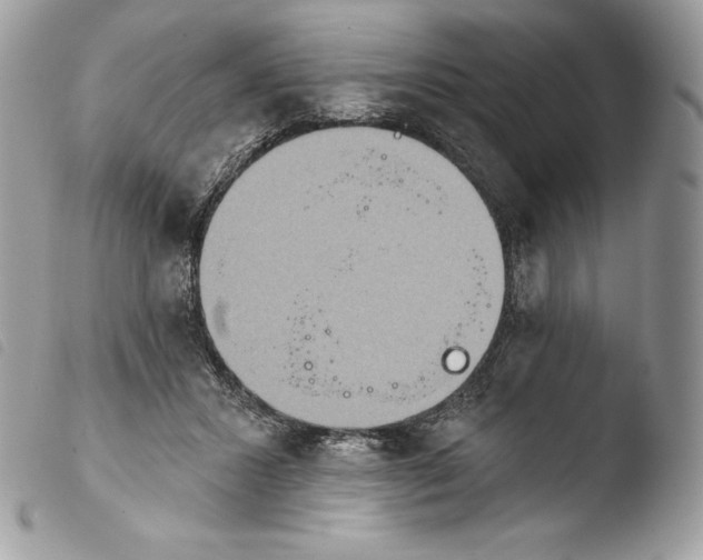 X0000103910407200810171710