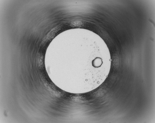 X0000103910408200810171710