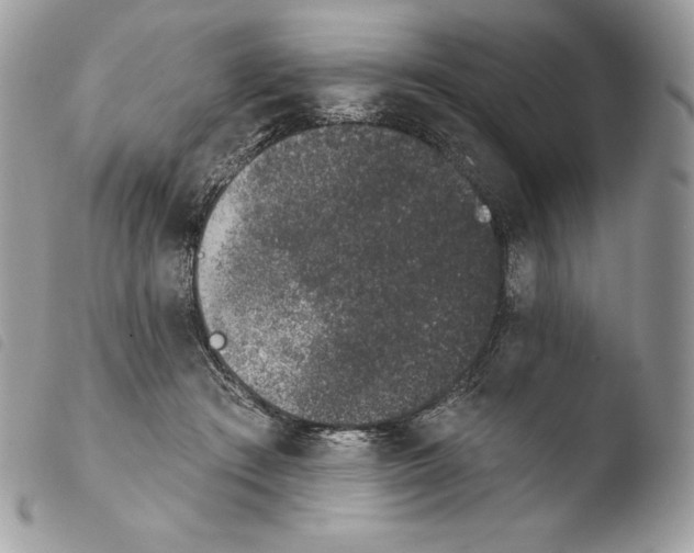 X0000103910409200810171710