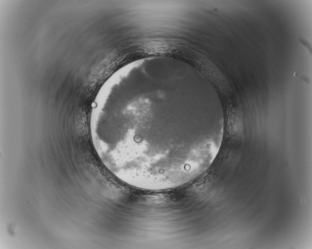 X0000103910411200810171710