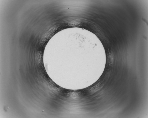 X0000103910412200810171710