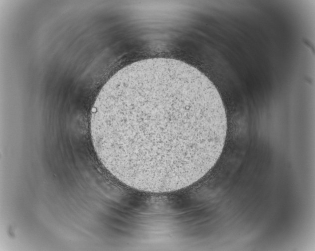 X0000103910413200810171710