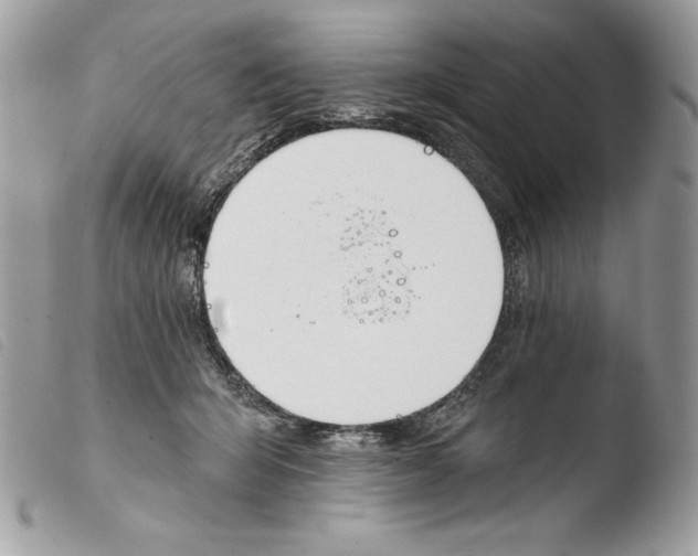 X0000103910415200810171710