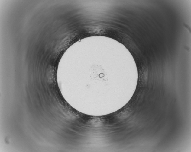 X0000103910416200810171710