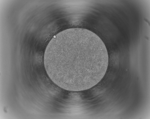 X0000103910417200810171710