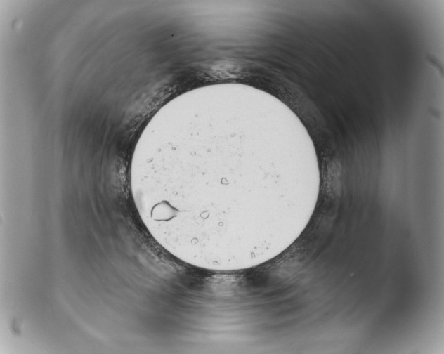 X0000103910418200810171710
