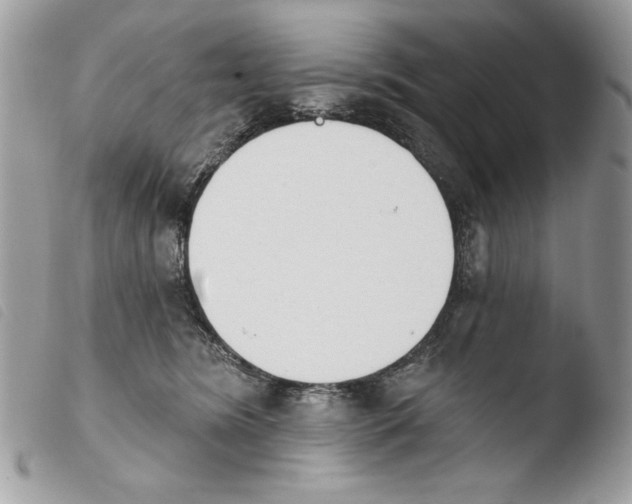 X0000103910420200810171710