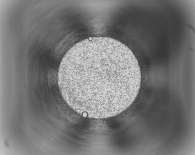 X0000103910421200810171710