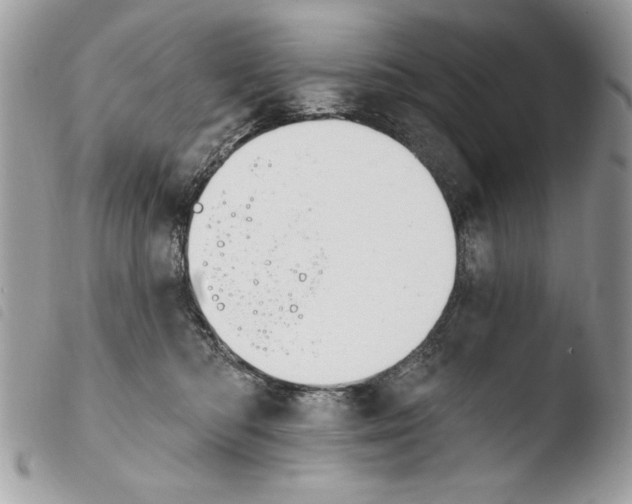 X0000103910422200810171710