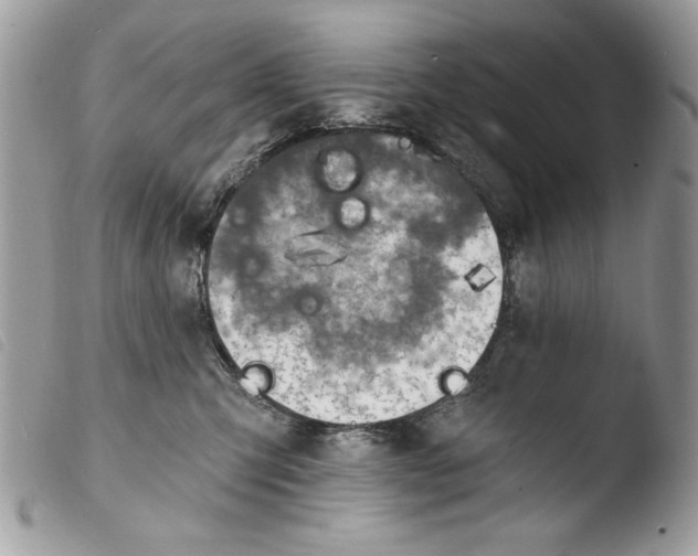 X0000103910423200810171710