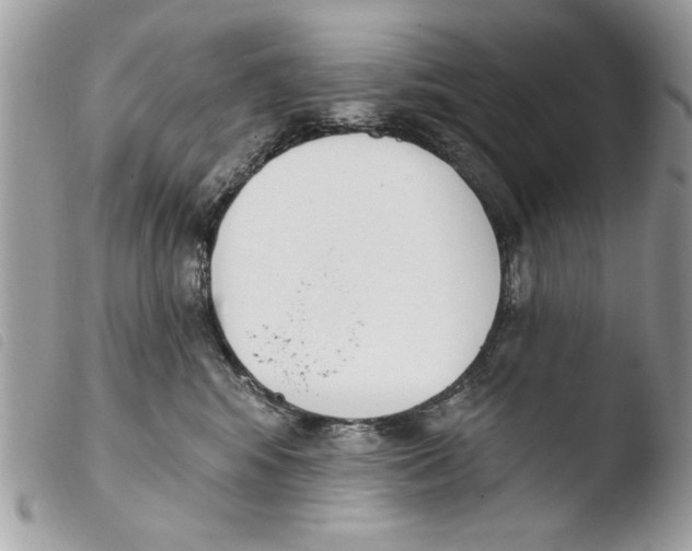 X0000103910424200810171710