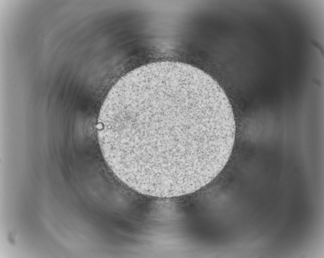 X0000103910425200810171710
