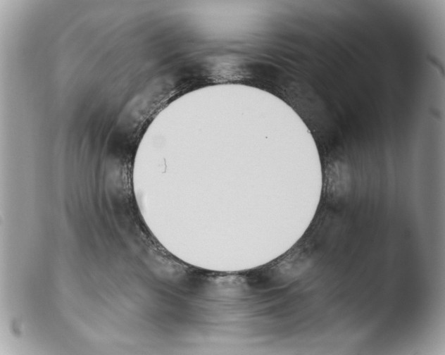 X0000103910426200810171710