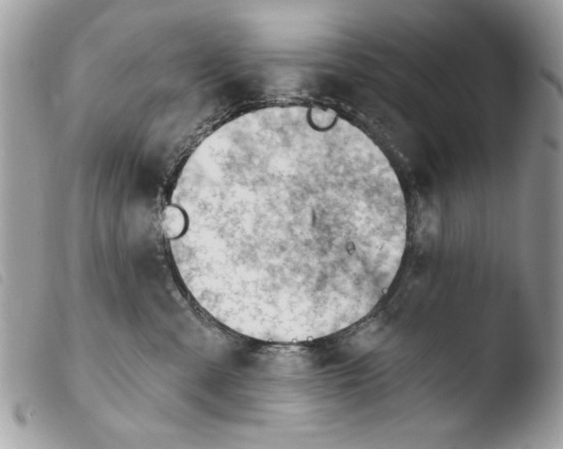 X0000103910427200810171710