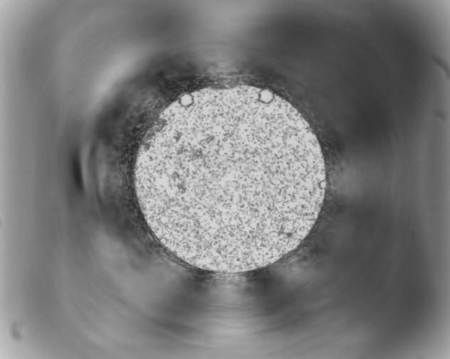 X0000103910429200810171710