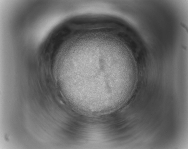 X0000103910431200810171709