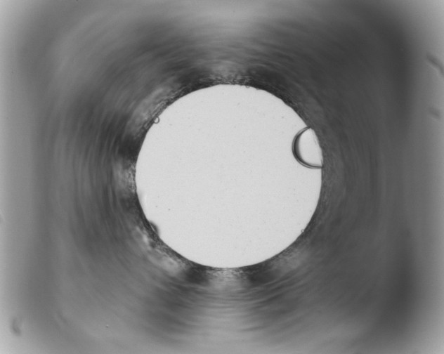 X0000103910432200810171709