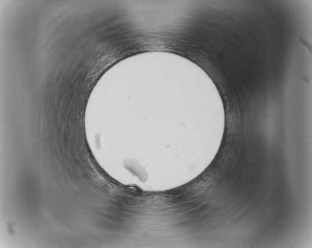 X0000103910433200810171708