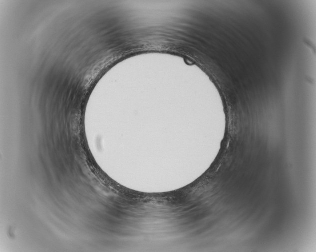 X0000103910434200810171708