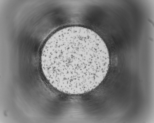 X0000103910436200810171709