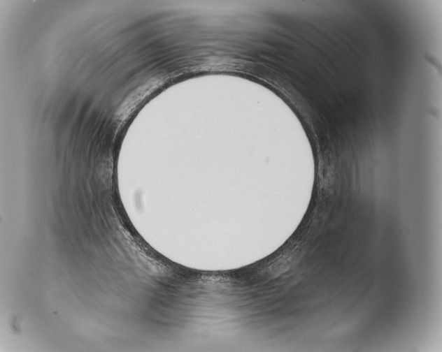 X0000103910437200810171709