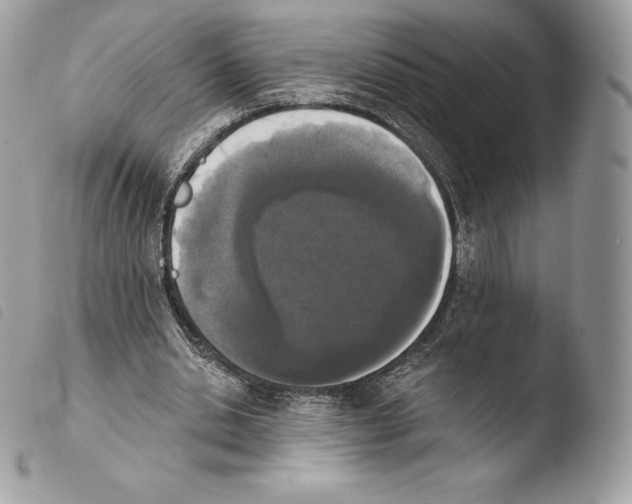X0000103910438200810171709