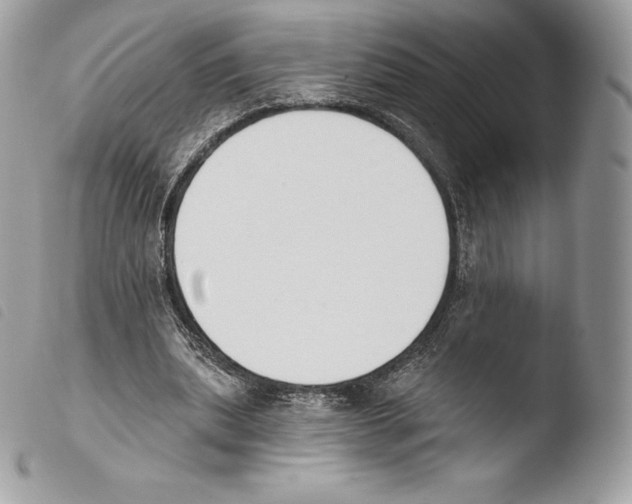 X0000103910439200810171709