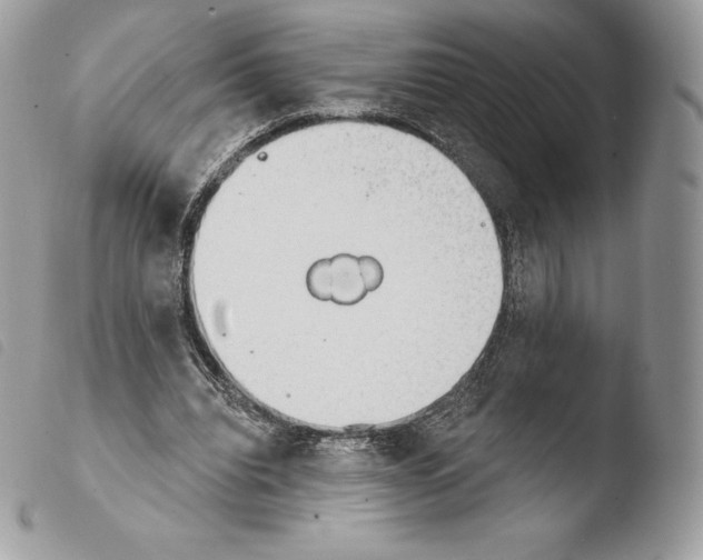 X0000103910440200810171709