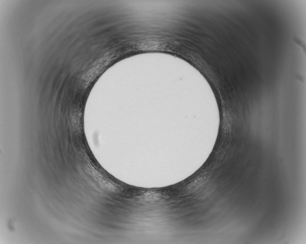 X0000103910441200810171709