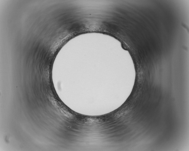 X0000103910442200810171709