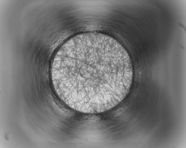 X0000103910443200810171709
