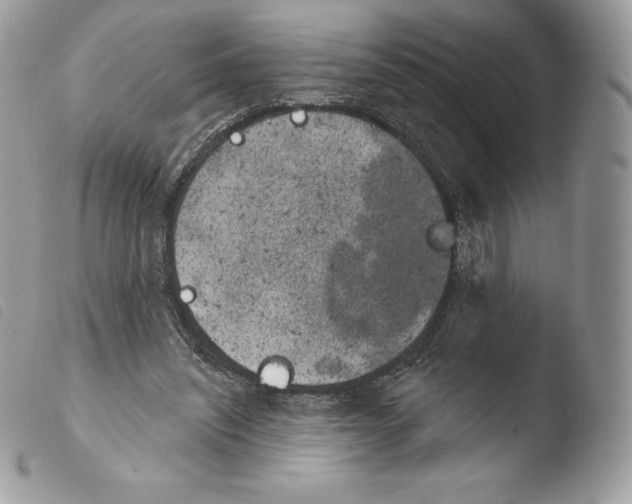 X0000103910444200810171709
