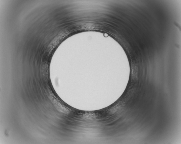 X0000103910445200810171709