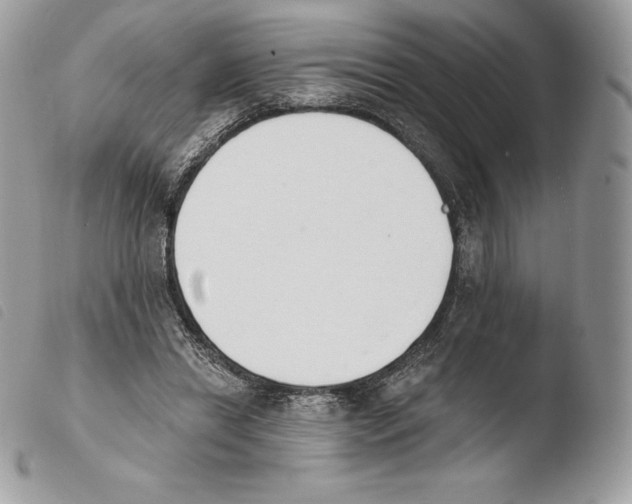 X0000103910446200810171709