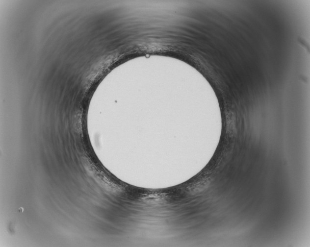X0000103910447200810171709