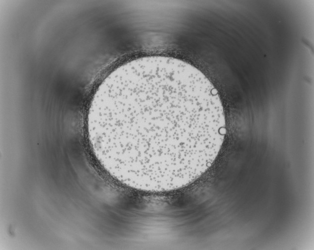X0000103910448200810171709