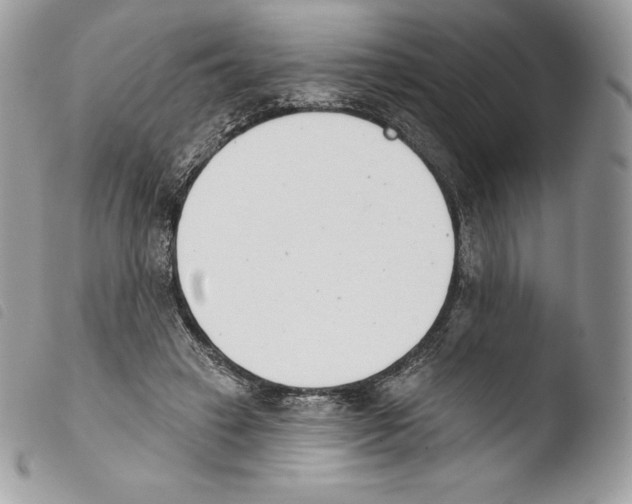 X0000103910449200810171709