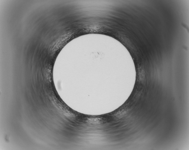X0000103910450200810171709