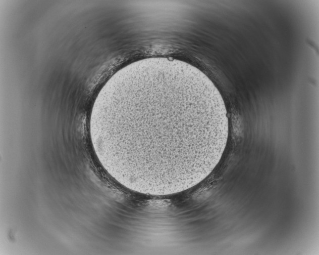 X0000103910451200810171709