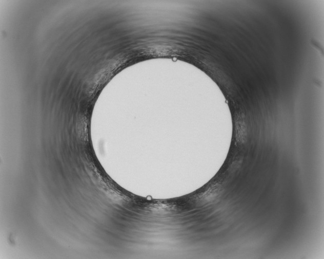 X0000103910453200810171709