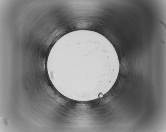 X0000103910454200810171709