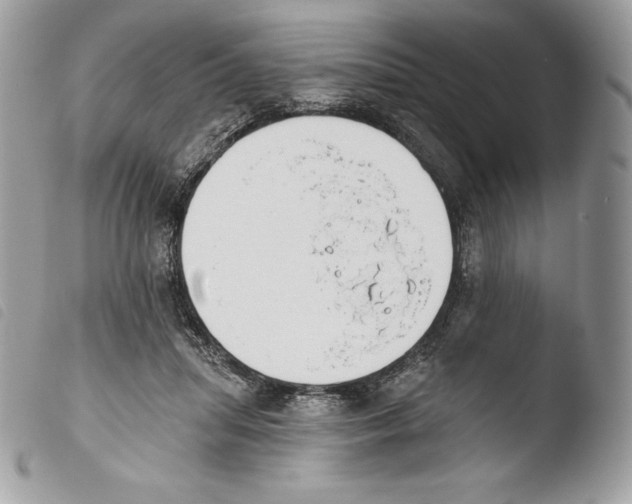X0000103910455200810171709