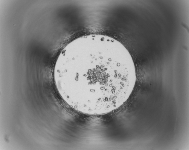 X0000103910456200810171709