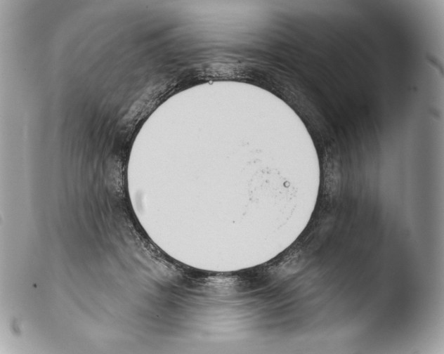 X0000103910457200810171709