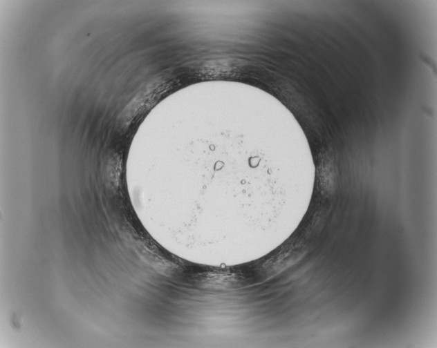 X0000103910458200810171709