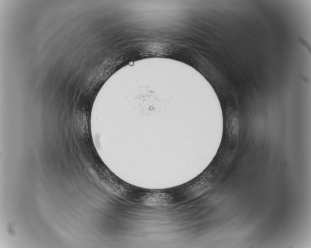 X0000103910459200810171709