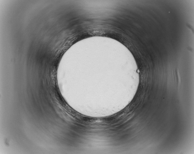 X0000103910460200810171709